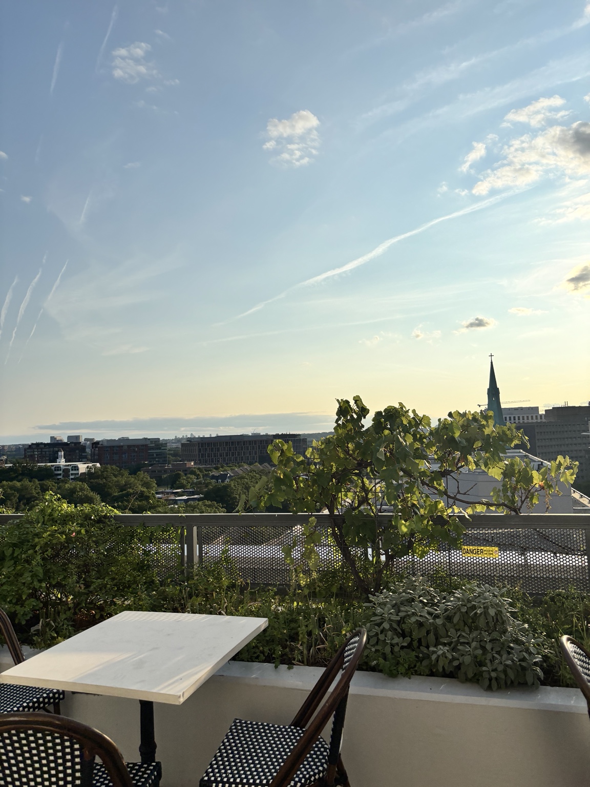 The CityBar DC rooftop terrace with its living edible garden and the Washington, DC skyline beyond